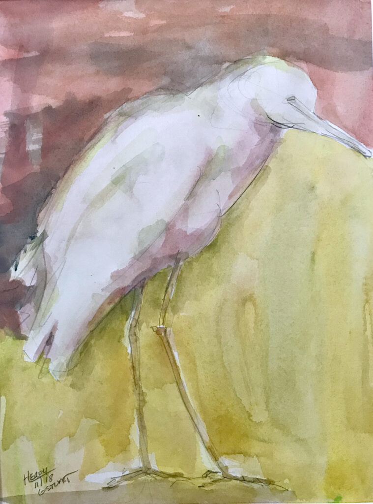 Sams Heron